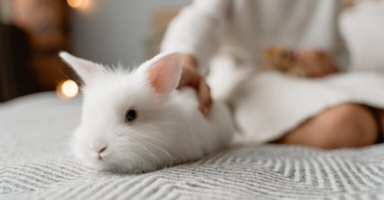 396 Cute White Rabbit Names: Unique Ideas for Your Bunny