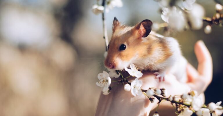 398 Adorable Hamster Names for Your Furry Friend