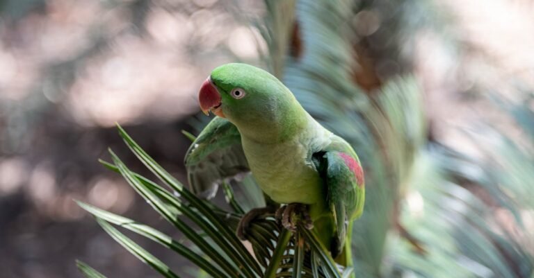 496 Parrot Names: The Perfect Match for Your Feathered Friend