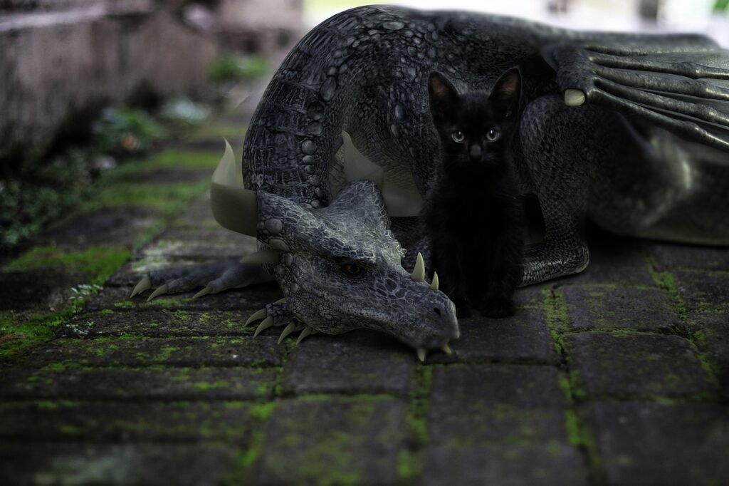 dragon, kitten, companionship