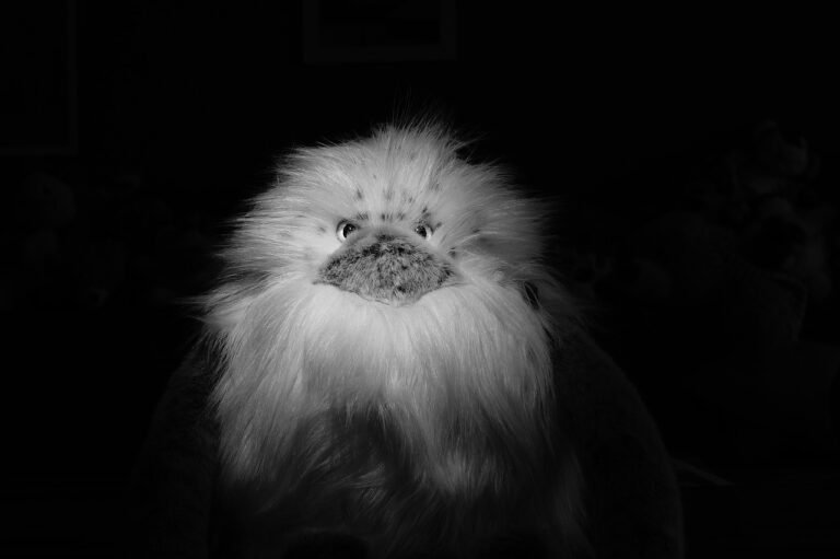 steiff, yeti, black-and-white