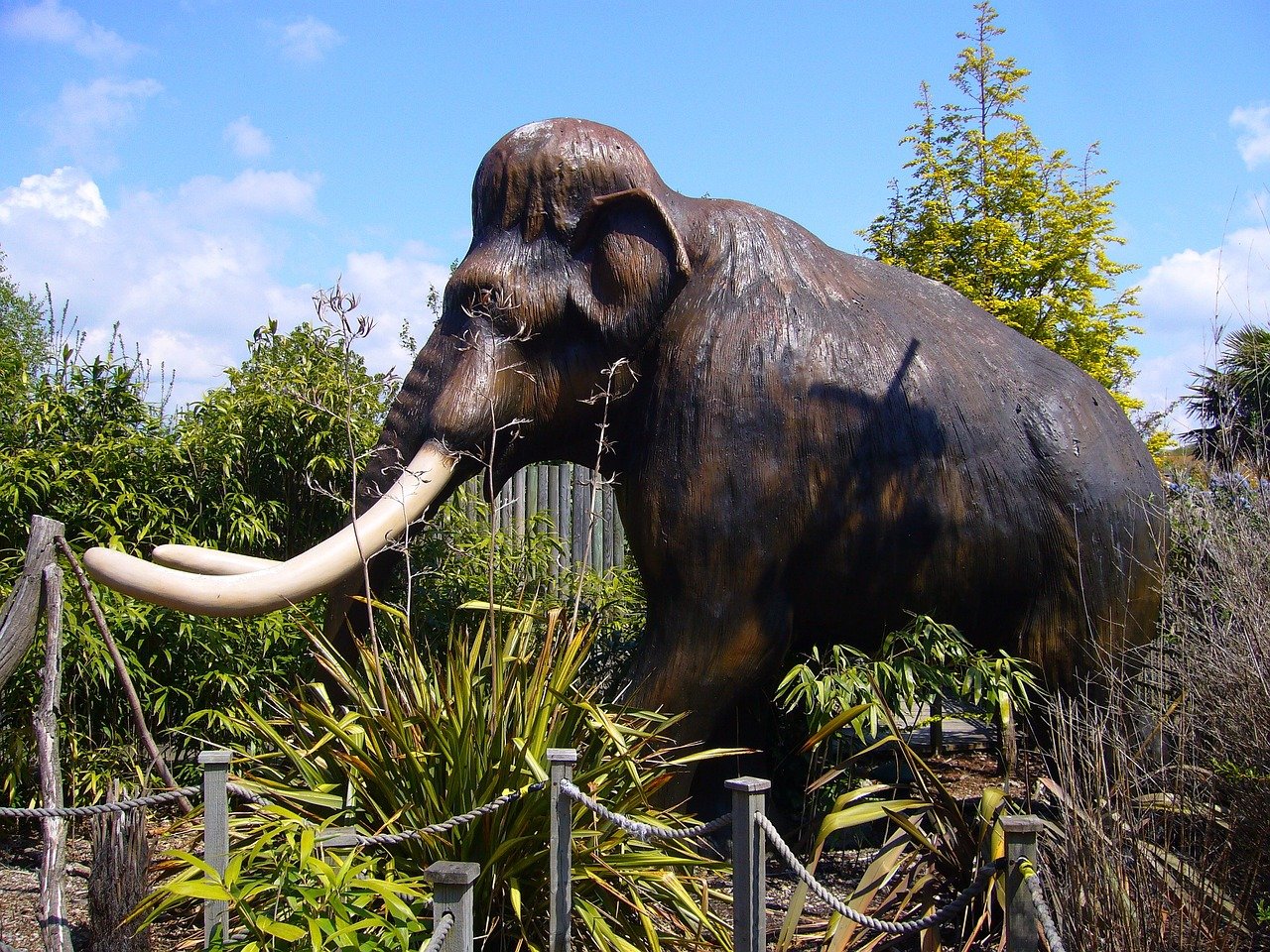 model mammoth, tusks, animal