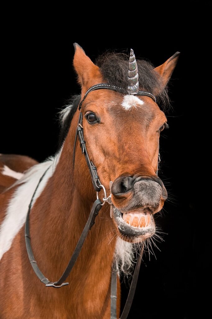 unicorn, horse, snaffle