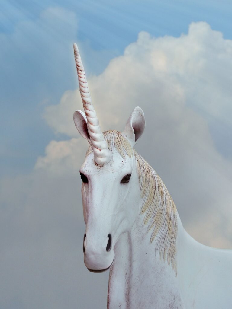 unicorn, fantasy, animal fantasy