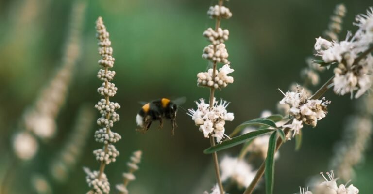 450 Bee Names: Cute, Funny, and Inspiring Options